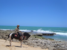 Brazil-Rio Grande do Norte-Brazilian Beaches on Mangalarga Marchador